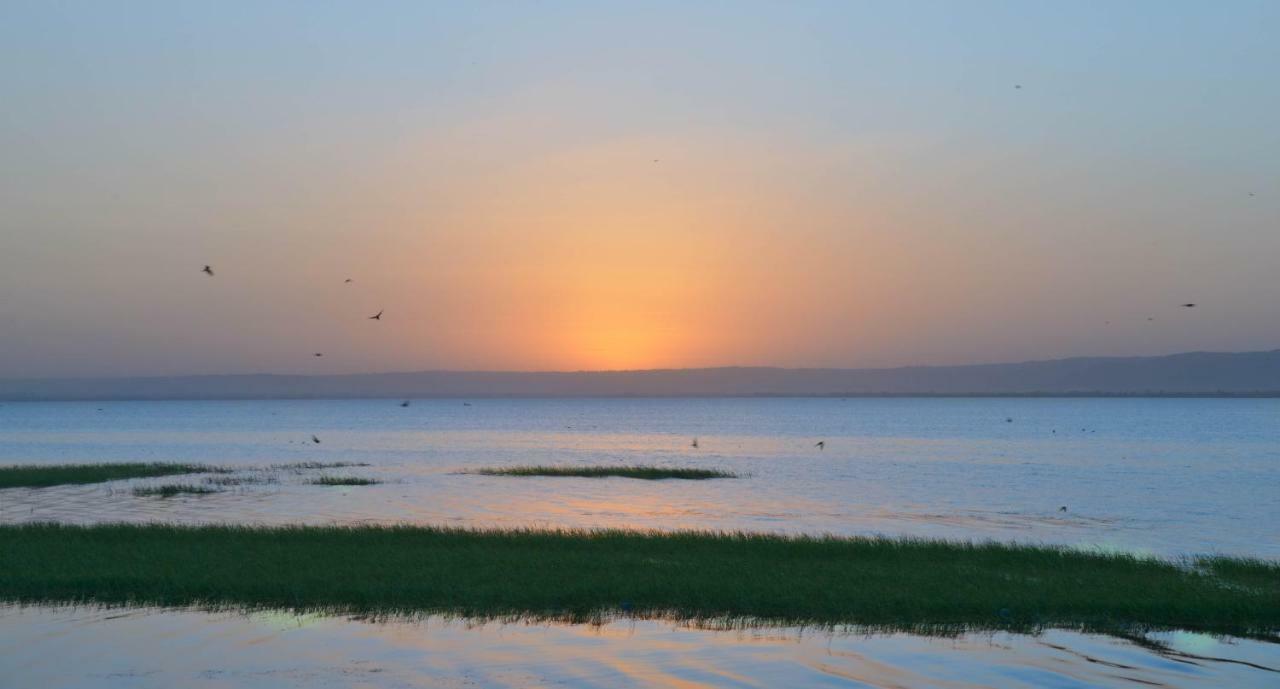 Haile Resort HAwasa Bagian luar foto